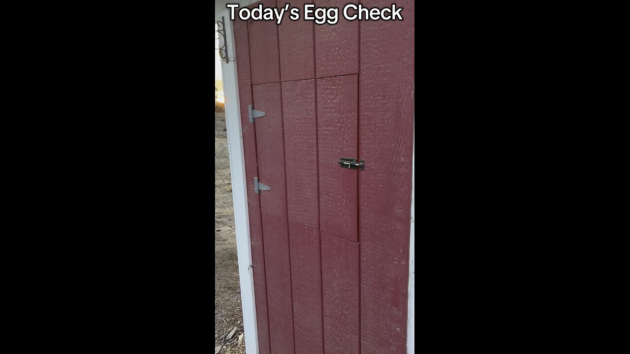 Today’s Egg Check!