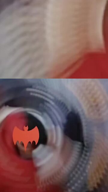 Ohhhh its a tiny Bladder