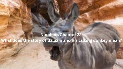 What does the story of Balaam and his talking donkey mean? Numbers Part 22 Chapter 22.