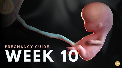 What to Expect at Week 10 | Week by Week Pregnancy Guide