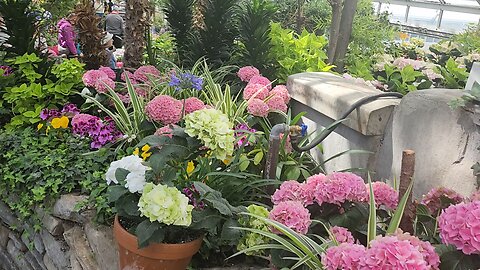 Visiting the Toronto Allan Gardens