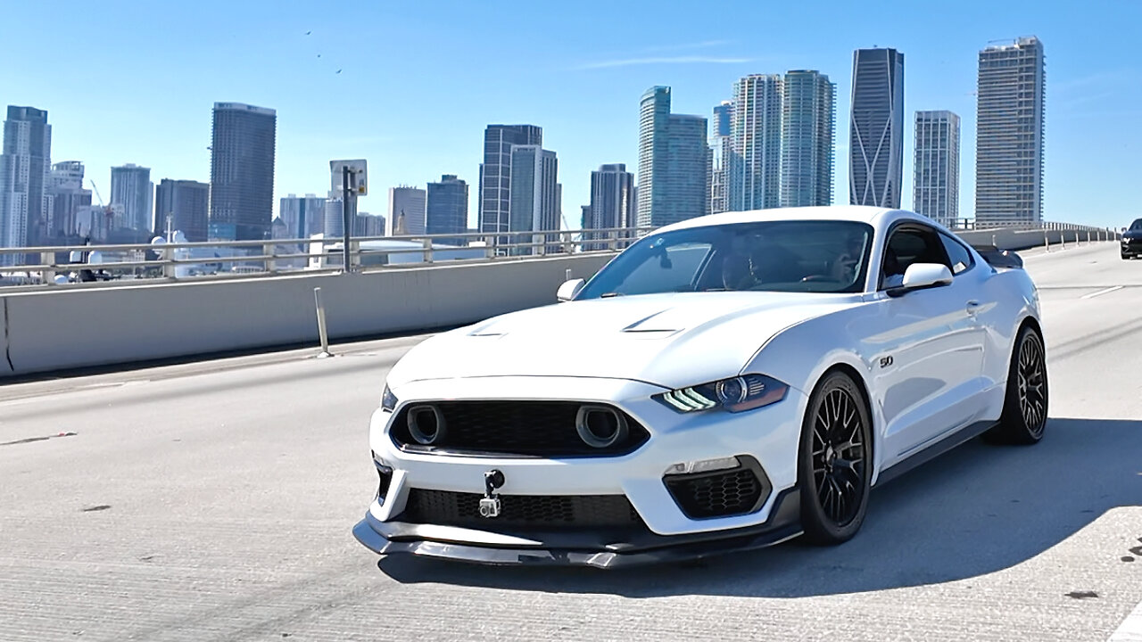 LOUD Mustang GT cruising in Miami! *5.0L Coyote V8 ASMR*