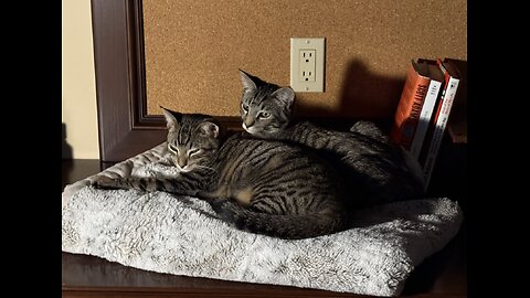 Episode 3042 CWSA 12/10/25