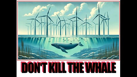 Don't Kill the Whale(for demo)
