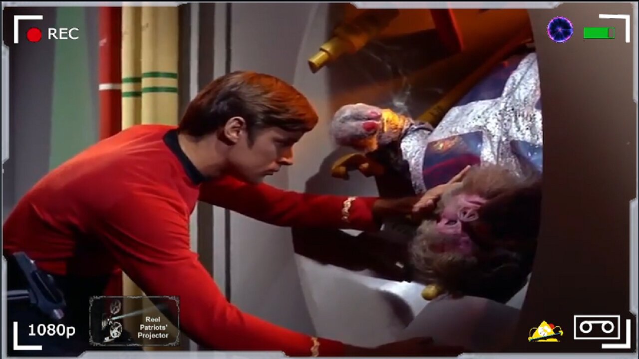 All About Dead Cheney