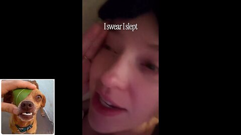 Funny videos compilation 34