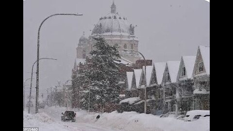 BEAUTIFUL BEAN FOOTAGE