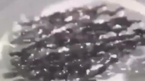 Micro Robots Nano Tech Performing Tasks😳😱😰