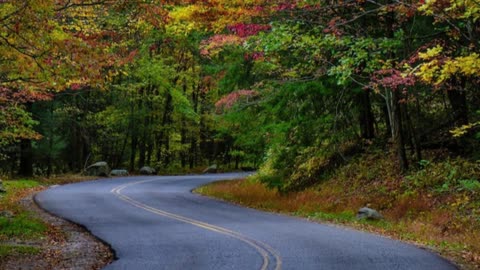 Voices in the Fire #1 V2