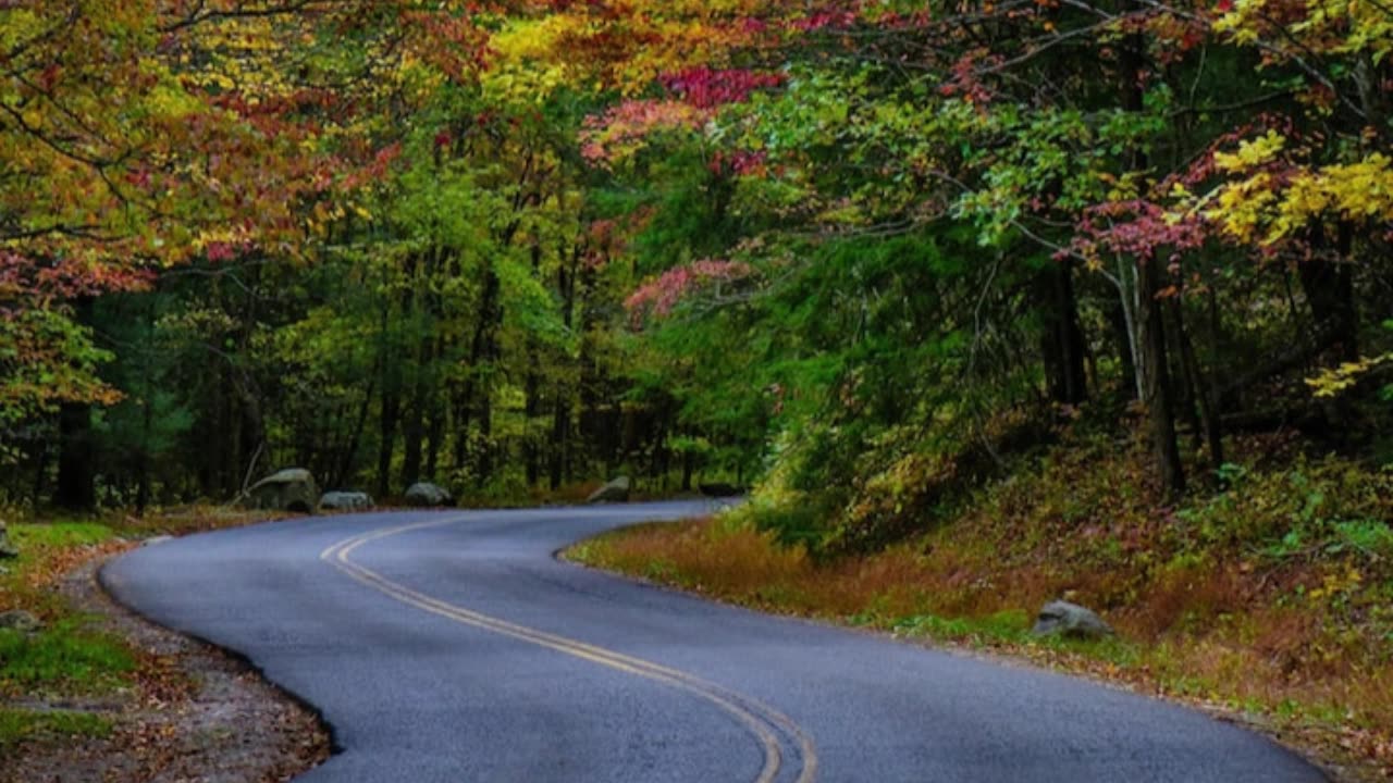 Voices in the Fire #1 V2