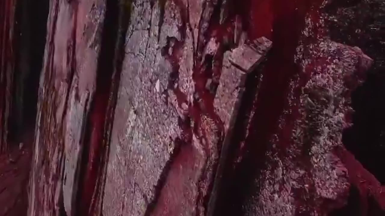 Pallay Punchu CUSCO - PERÚ