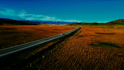 Golden Fields and Serene Skies