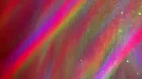 The Morning Rant 💥