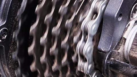 Bike freewheel cleaning without dismantling quickly and efficiently