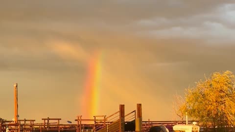 Rainbow Over a Tractor