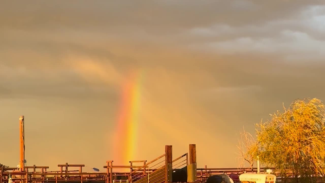 Rainbow Over a Tractor