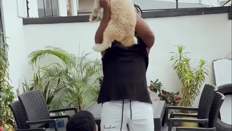Funny dog moment