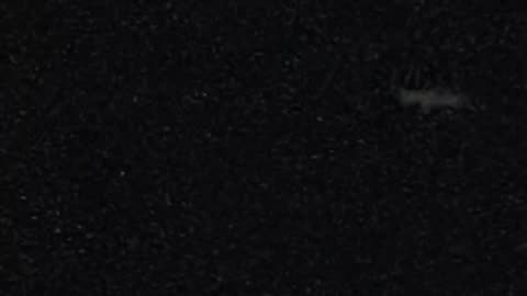 👽 Long UFO Spotted in UK! | TheTruthAbove