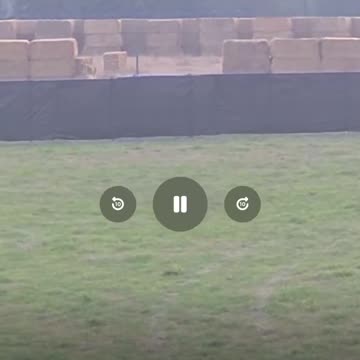 A D€ATH PEN created to trap the Ostriches