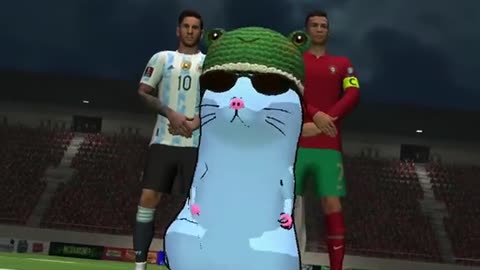 Montagem xonada