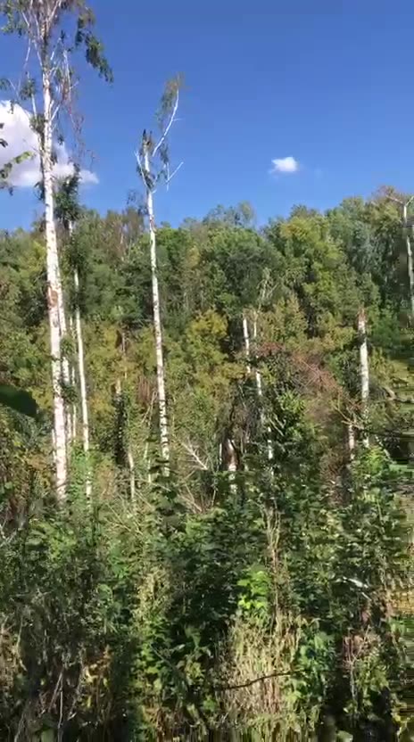 Ukriane war combat footage 10/1/25