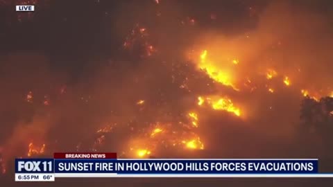 Hollywood Hills Sunset Fire | Iconic landmarks threatened by new Hollywood Hills 'Sunset Fire