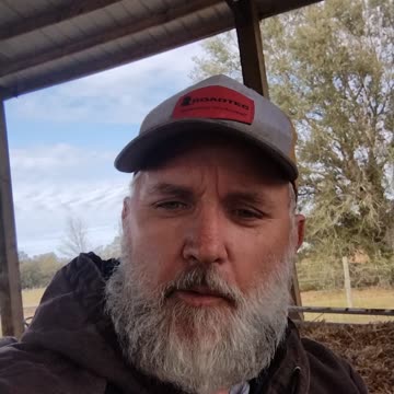 Peanut Hay! Is it worth it? #shorts #cow #farming #God #blessed #hay