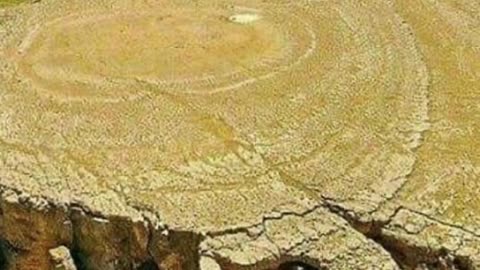 The Book of Enoch tells us why these massive trees were cut, and exactly who cut them.