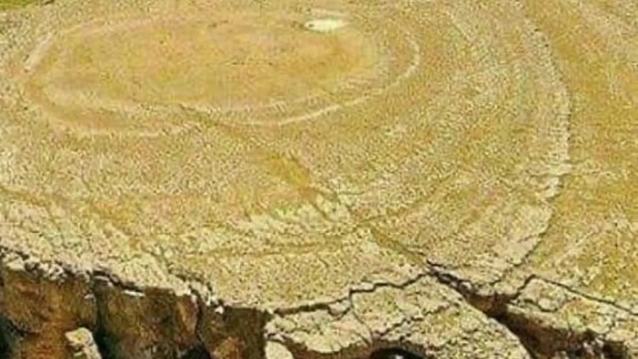 The Book of Enoch tells us why these massive trees were cut, and exactly who cut them.