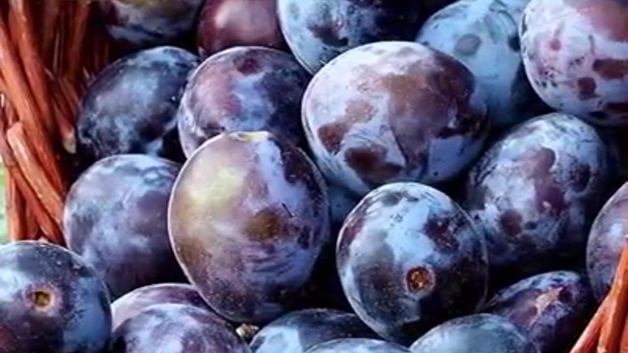 Benefits Of Jamun