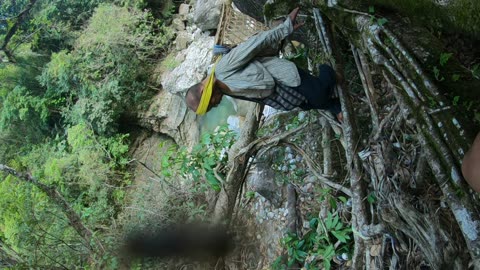 Living Root Bridge