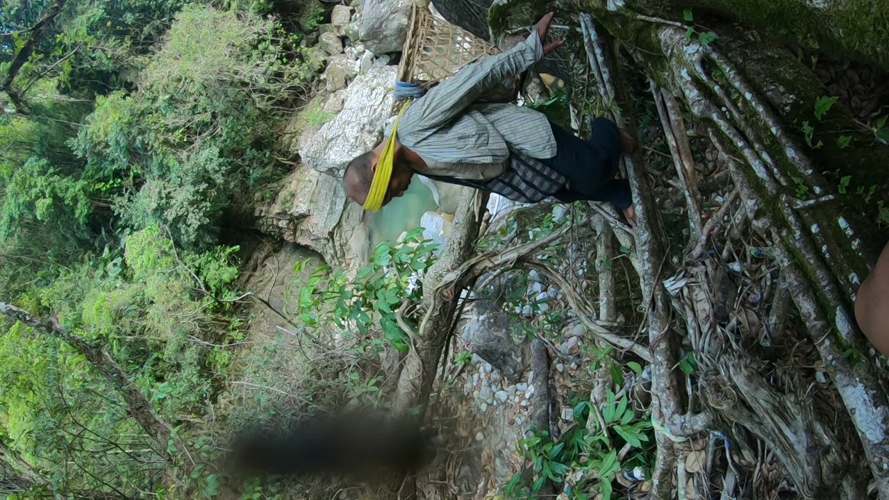 Living Root Bridge