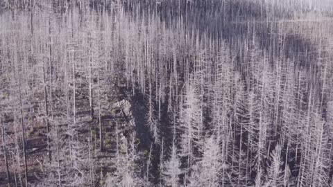 flight of 11-15-25 below tower road