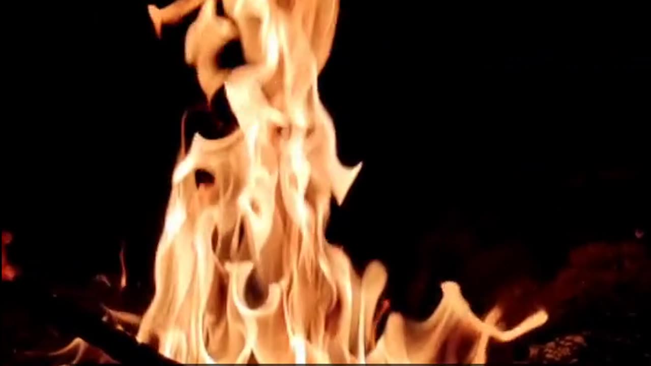 Daily Horoscope | Aries 🌟