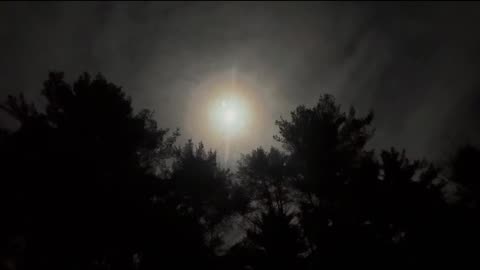 Last night, Before The Snow ❄️