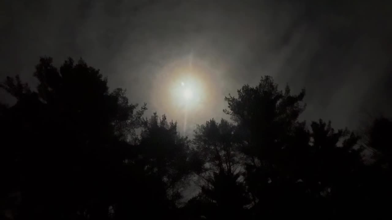 Last night, Before The Snow ❄️