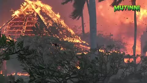 They Said It Was a Wildfire But Locals Know the Truth