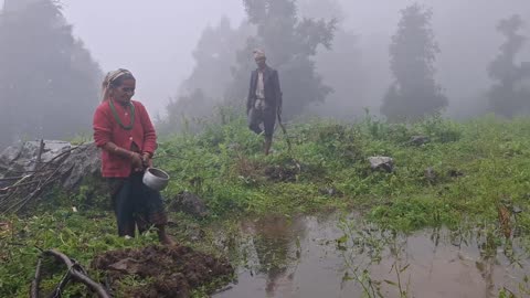 Monsoon Rain with a Shepherd | Peaceful Village Life in Nepal