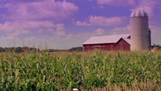 Watch Alex Jones Warn You About The New World Order Decades Ago in These Films