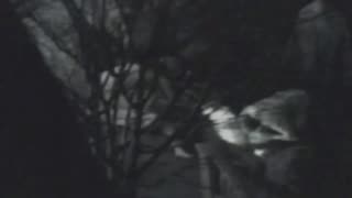 Watch Alex Jones Warn You About The New World Order Decades Ago in These Films