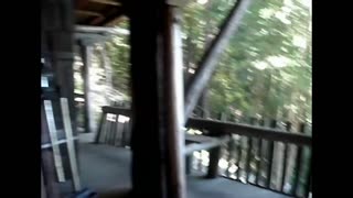 Watch Alex Jones Warn You About The New World Order Decades Ago in These Films