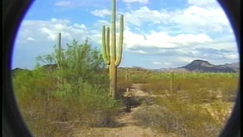 Watch Alex Jones Warn You About The New World Order Decades Ago in These Films