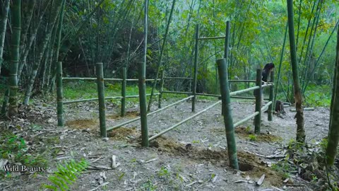 Full-video: 20 Days Building Cabin in the Bamboo Forest - Alone Determined from Start to Finish