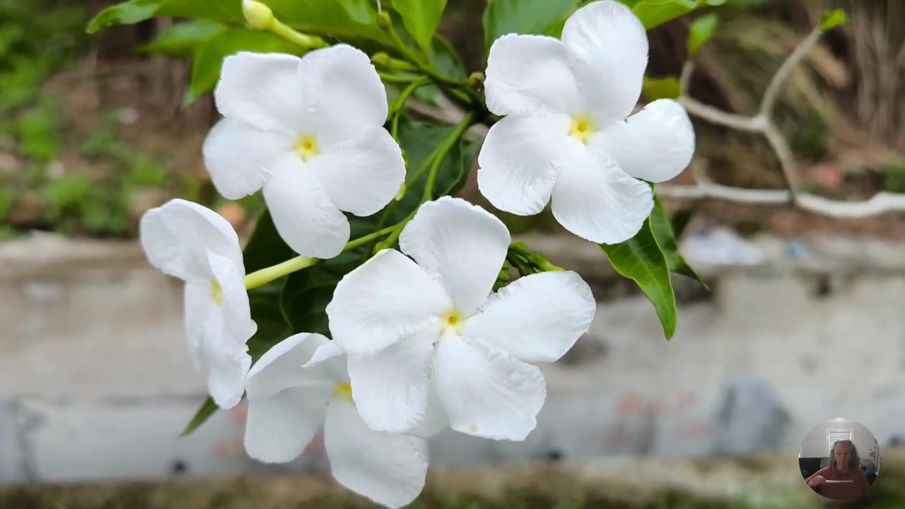 I am worthy of being fair and kind with myself as I did not have all knowledge and understanding