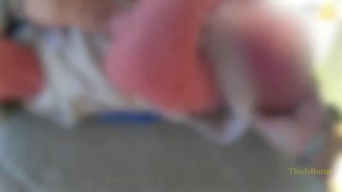 Bodycam shows Yavapai County deputies helping save choking baby