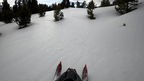 Playing in the rock garden