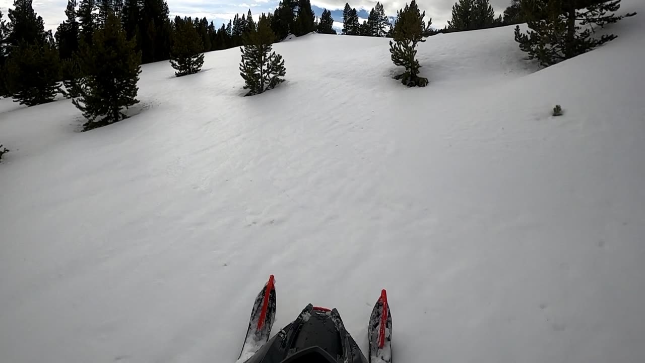 Playing in the rock garden