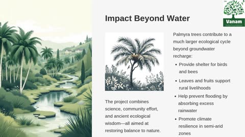 How Palmyra Seed Planting Near Ponds and Tanks Boosts Groundwater Levels