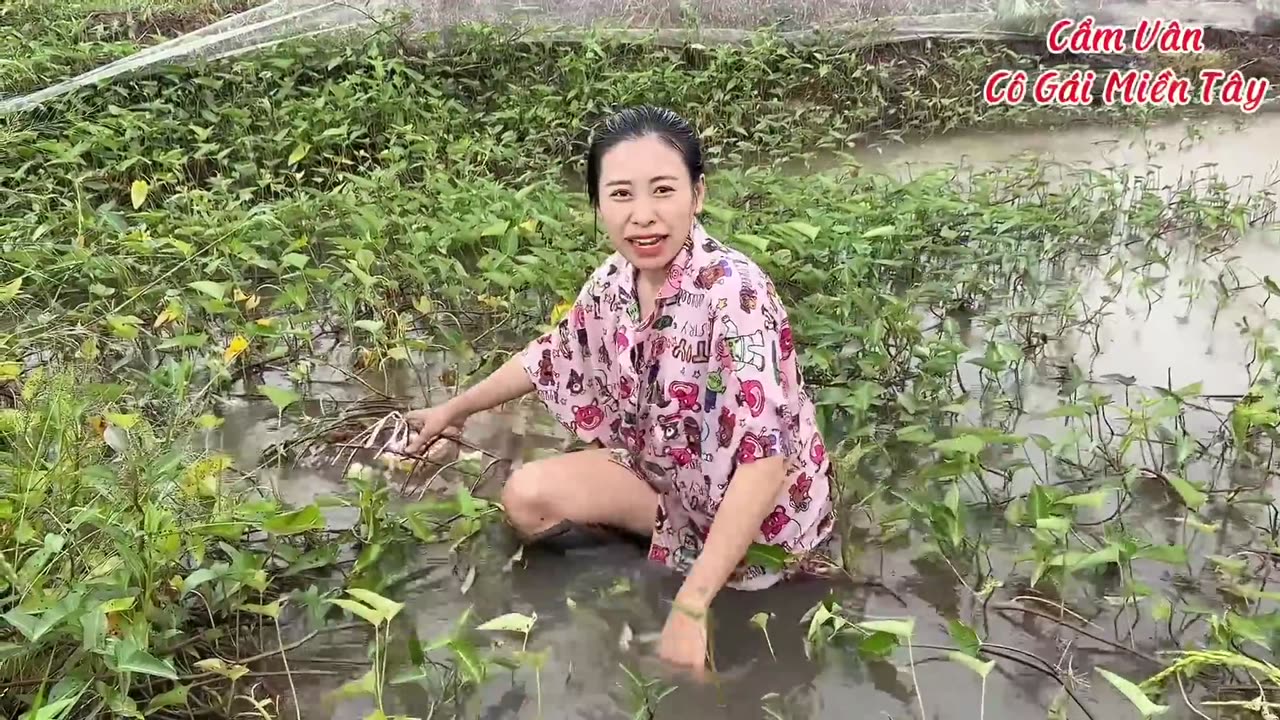 wild camping & swimming in dartmoor's ancient woods