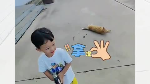 “Toy gun: 0 damage. Cat: 100% drama.”